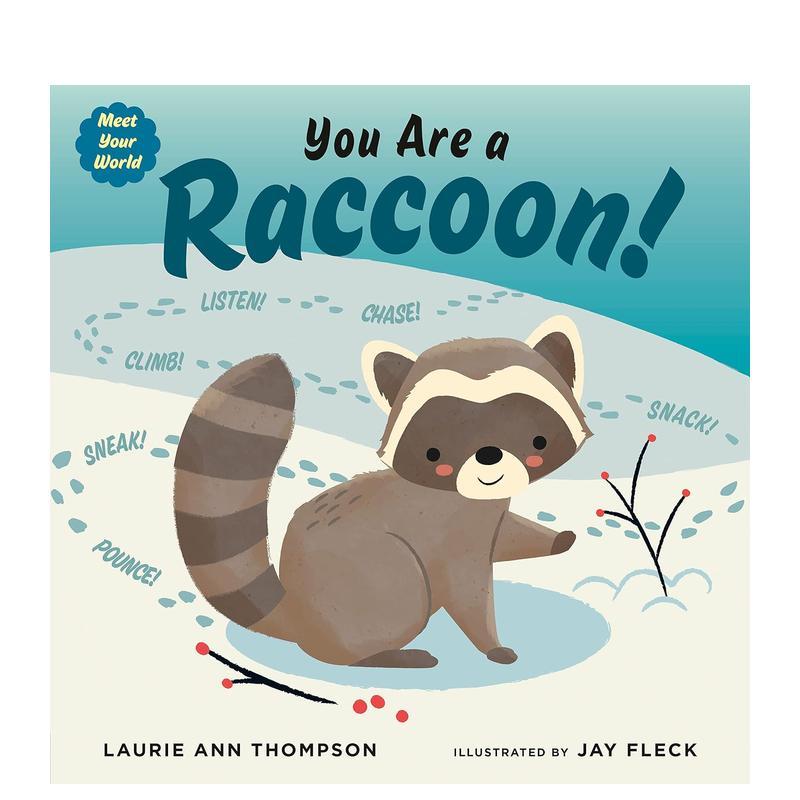 你是浣熊 You Are A