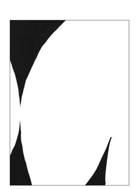 【现货】Jochen Lempert - 对照Jochen Lempert - Paare / Pairs英文摄影师专辑Jochen Lempert平装ROMA Publications进口原版书9