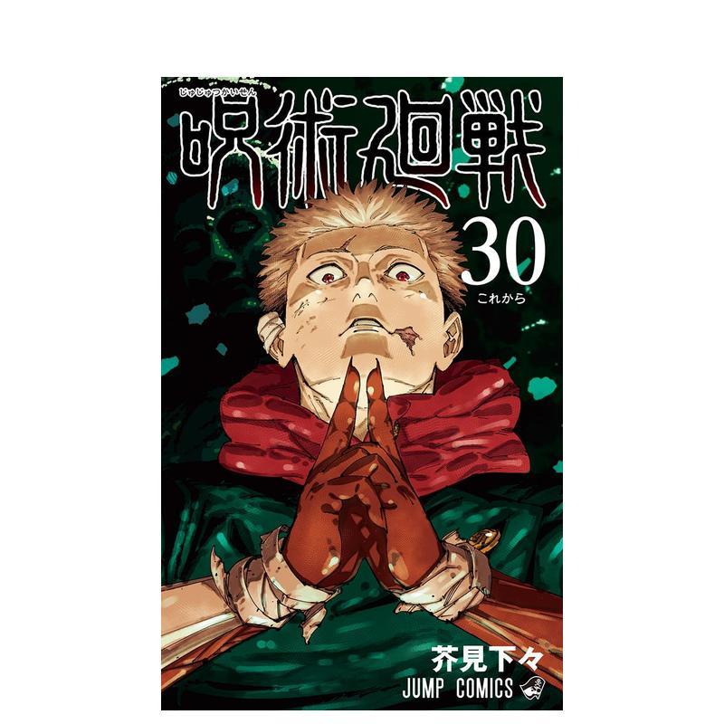 咒术回战 30 呪術廻戦 30