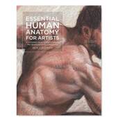 给艺术家 Anatomy Artists For Human 外版 for Arti Essential 基础人体解剖学英文艺术技法与入门赏析进口原版 书平装 预售