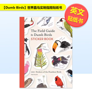 现货 Field Sticker 进口原版 Dumb Kracht平装 世界蠢鸟实地指南贴纸书 书Ch Birds Book英文贴纸书Matt Guide