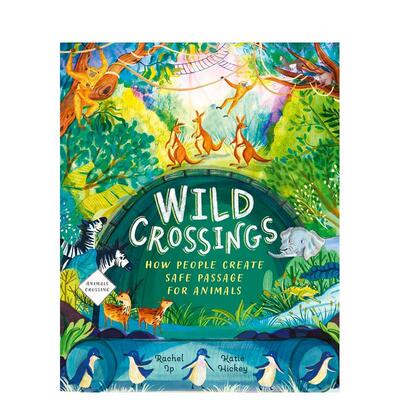 【预售】野外穿越人类如何帮助动物找到回家的路Wild Crossings英文儿童绘本知识百科Rachel Ip6-9岁精装Hodder Children books进