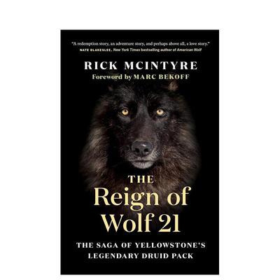 【现货】狼21The Reign of Wolf 21英文社会科学Rick McIntyre精装Greystone books进口原版书9781771645249