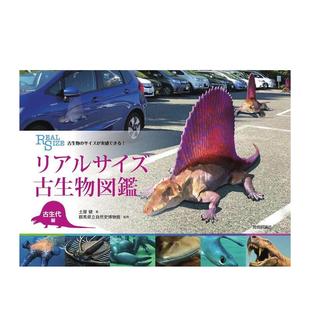 【现货】真实尺寸古生物图鉴日文图鉴土屋 健技术评论社进口原版书9784774199139古生物のサイズが実感できる! リアルサイズ古生物