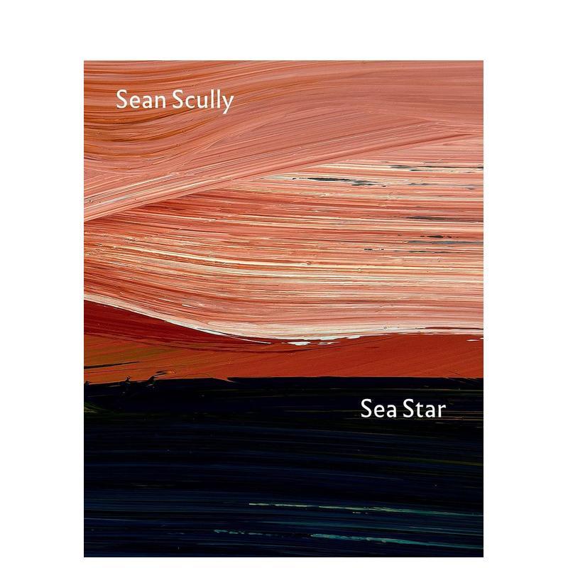 海星：国家美术馆中的肖恩·斯库