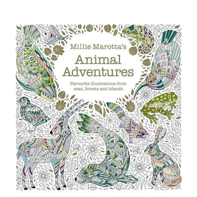 【预售】米莉马洛塔的动物历险记Millie Marotta's Animal Adventures英文儿童趣味Millie Marotta平装3-6岁Batsford进口原版书97