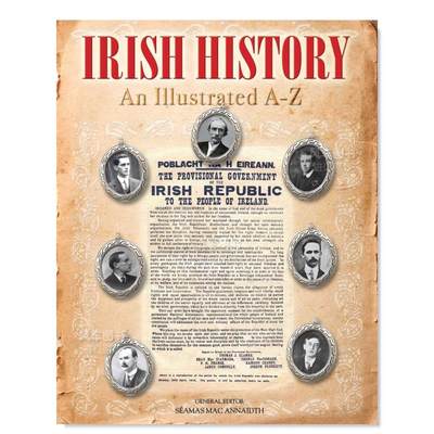 【现货】爱尔兰的历史 Irish History 英文原版进口外版图书