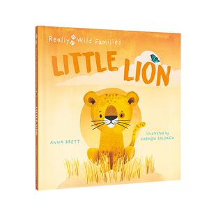 【现货】小狮子的一天【Really Wild Families】Little Lion英文儿童绘本动物生态环保Carmen Saldana精装QED Publishing3-6岁进口