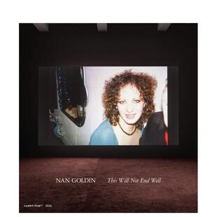 现货 Steidl进口原版 南戈丁 Goldin英文摄影集摄影师专辑精装 书9783969990582 无法维续Nan