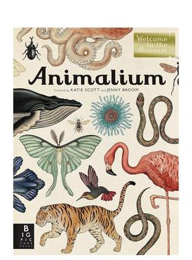【预售】欢迎来到博物馆动物世界Welcome to the Museum Animalium英文青少年读物3-6岁精装进口原版书Broom  Jenny Big Picture