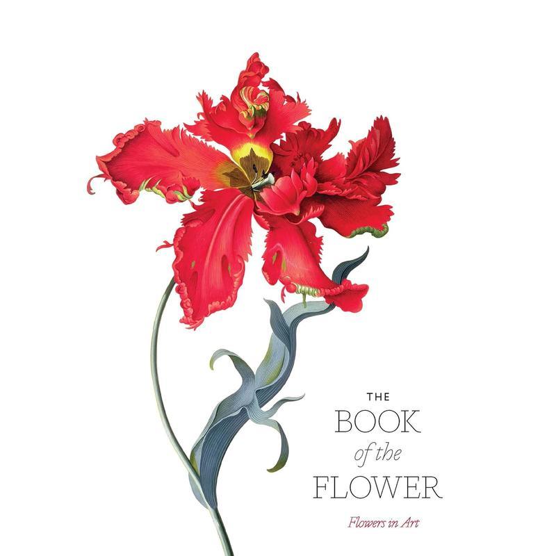 花之书:艺术之花 The Bo