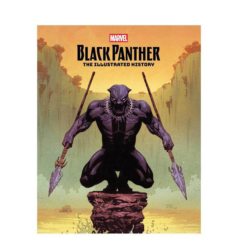 黑豹：视觉史诗 Black P