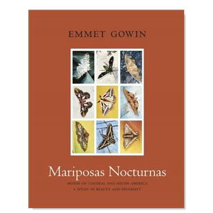 【预售】夜蝶：中美洲和南美洲的飞蛾 关于美丽和多样性的研究英文摄影综合作品进口原版外版书精装Mariposas Nocturnas: Moths