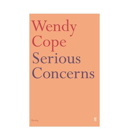 严肃关切 【Wendy Cop