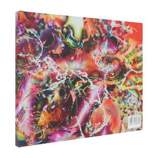 Blum 书9780971298538 劳伦奎因 Press进口原版 Poe Quin精装 Quin英文外国美术当代Lauren 地狱之口Lauren 现货