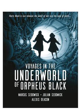 【现货】【2020卡内基文学奖】奥菲斯-布莱克的地下世界之旅Voyages in the Underworld of Orpheus Black英文青少年读物Marcus S