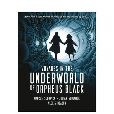 【现货】【2020卡内基文学奖】奥菲斯-布莱克的地下世界之旅Voyages in the Underworld of Orpheus Black英文青少年读物Marcus S