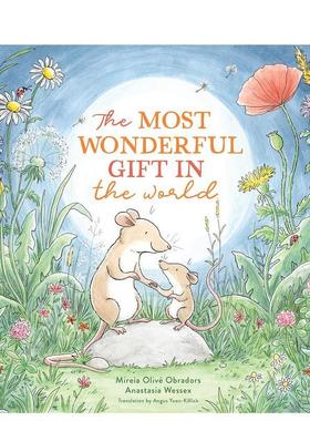 【预售】世间的珍贵礼物Most Wonderful Gift In The World英文儿童绘本人际关系Mireia Olivé Obradors精装Red Comet Press进口