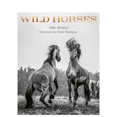 【预售】野马英文摄影摄影师专辑进口原版外版书精装14岁以上Wild Horses Alfie Bowen ACC Art Books