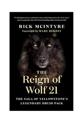 【现货】狼21The Reign of Wolf 21英文社会科学Rick McIntyre精装Greystone books进口原版书9781771 5249