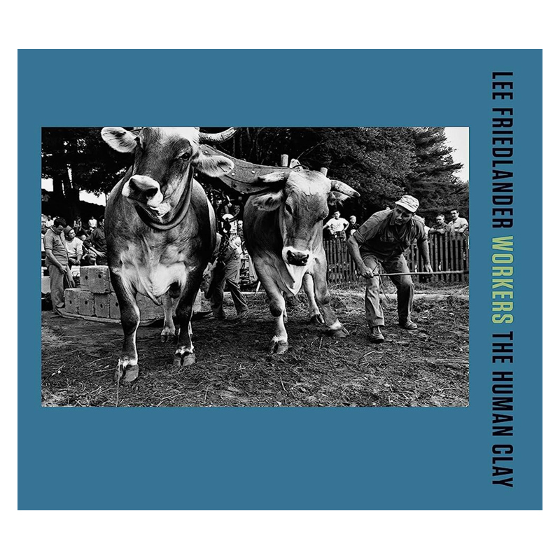 李·弗里德兰德：工作中的人-人类陶土