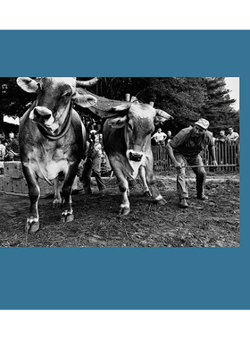 【预售】李·弗里德兰德：工作中的人-人类陶土英文摄影集摄影师专辑精装进口原版书Lee Friedlander: Workers-The Human Cla