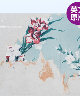 【预售】亚历克·索斯:收集的树叶英文文创明信片盒装Alec Soth: Gathered Leaves Alec Soth著MACK Publishing出版