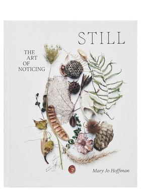【预售】静谧观察的艺术STILL: The Art of Noticing英文艺术家艺术工作室Mary Jo Hoffman精装The Monacelli Press进口原版书978