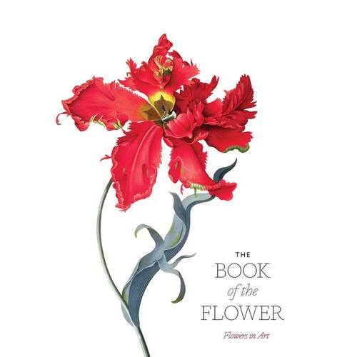花之书:艺术之花 The Bo