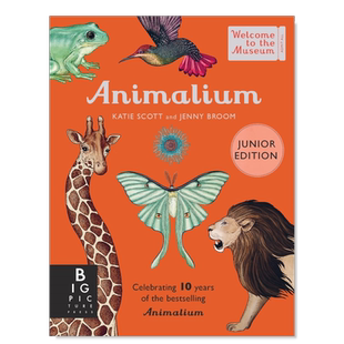 【预售】动物园英文儿童绘本进口原版外版书精装Animalium (Junior Edition)Jenny BroomBonnier Books