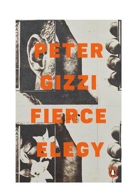 【预售】激烈的挽歌英文文学诗歌Fierce Elegy简装进口原版书Gizzi  Peter Penguin Books