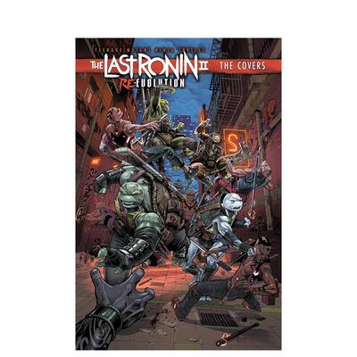 【预售】忍者神龟 最后的浪人 II 重生 封面集Teenage Mutant Ninja Turtles  The Last Ronin II  英文漫画图书精装IDW Publishi