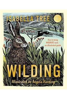 【现货】荒野重生图解生态修复指南Wilding英文儿童绘本插画师Isabella Tree Angela Harding精装Macmillan Children's Books9-12