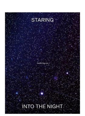 【预售】凝望黑夜阿梅莉布维尔Staring into the Night英文艺术家艺术工作室Amélie BouvierHopper & Fuchs平装进口原版书978946