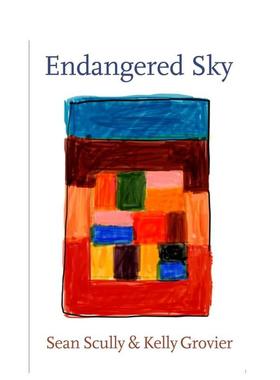 【预售】濒危的天空肖恩-斯卡利和凯莉-格罗维耶Endangered Sky英文艺术家艺术工作室Kelly GrovierHatje Cantz进口原版书9783775