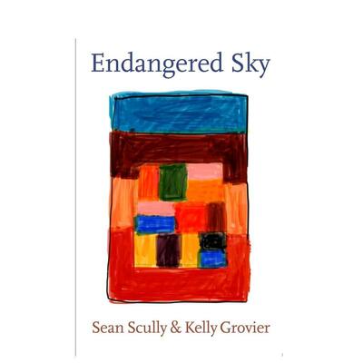 【预售】濒危的天空肖恩-斯卡利和凯莉-格罗维耶Endangered Sky英文艺术家艺术工作室Kelly GrovierHatje Cantz进口原版书9783775