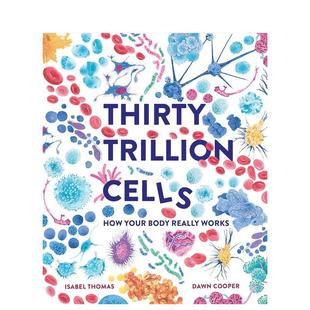 Thirty Trillion publishing3 现货 6岁进 Welbeck 30万亿个细胞人体是如何运作 Thomas精装 Cells英文儿童绘本知识百科Isabel