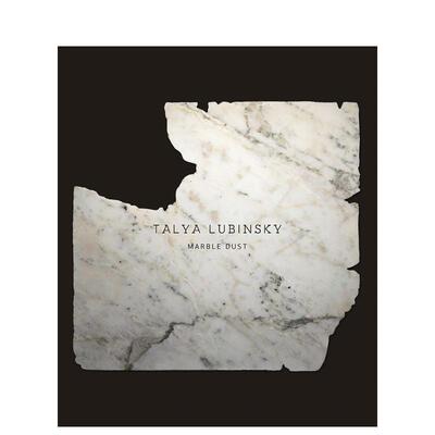【预售】塔莉亚鲁宾斯基大理石尘埃Talya Lubinsky英文艺术家艺术工作室Verlag Kettler平装进口原版书9783862068 7