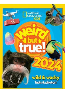 【现货】逃亡的六Fugitive Six英文青少年读物LORE PITTACUSHarpercollins6-9岁进口原版书9780062493880