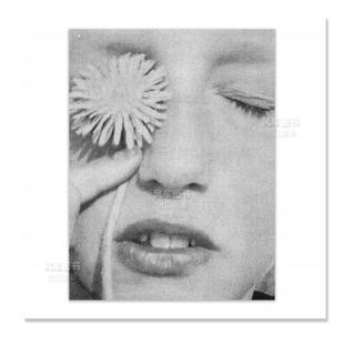 无回应英文摄影综合作品进口原版 Publishers Palms RESPONSE 预售 好 AARON 书简装 外版 Twin STERN