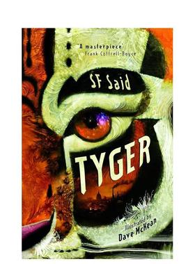 【预售】【2024卡内基文学奖长名单】老虎英文青少年读物进口原版图书Tyger精装SF Said  Dave McKeanDavid Fickling Books