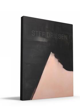 【现货】斯黛弗德里森Stef Driesen英文艺术家艺术工作室Stef Driesen精装Luster进口原版书9789460581434