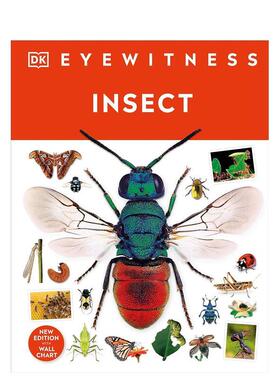 【现货】【DK视界】昆虫【DK Eyewitness】Insect英文儿童绘本动物生态环保DK Chidren精装3-6岁DK Children进口原版书9780241617