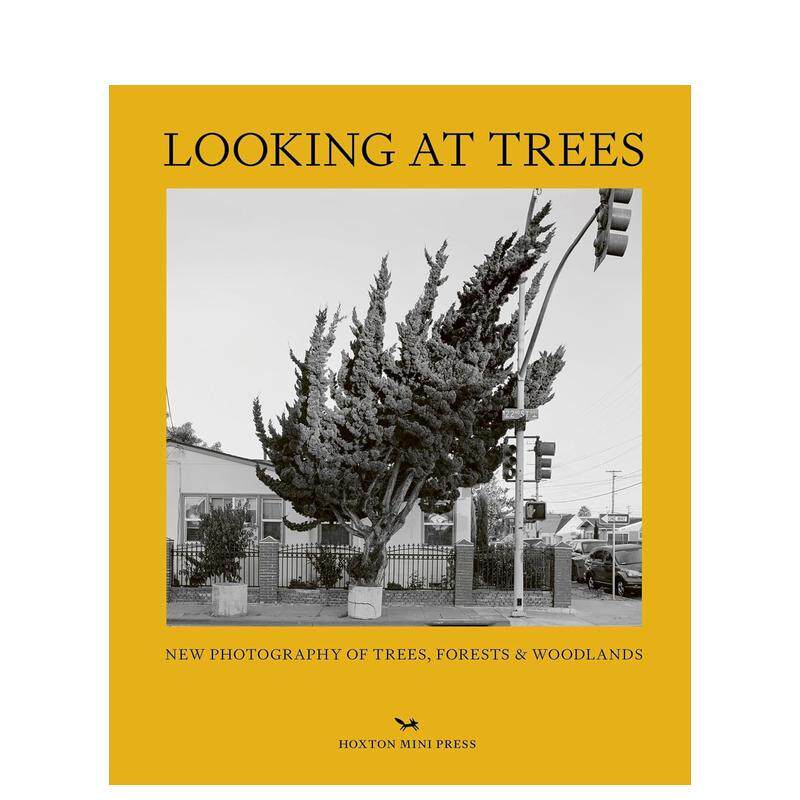 【现货】观树 Looking at Trees 原版英文摄影自然景观