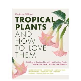 Love 现货 How Them英文生活综合Marianne Springs Plants Cool 热带植物与如何爱护它们Tropical Press进 and Willburn精装