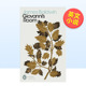 乔凡尼 Penguin Room 14岁以上Giovanni‘s Baldwin 外版 Books James 房间英文文学小说进口原版 书平装 预售