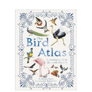 Bird Bar 6岁精装 现货 鸟类图集世界鸟类丰富插图指南The the Atlas Birdlife英文青少年读物3 Pictorial World’s Guide