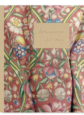 【预售】之间英文摄影摄影师专辑进口原版外版书精装Lili Almog: Betweenness Lili Almog Kehrer Verlag