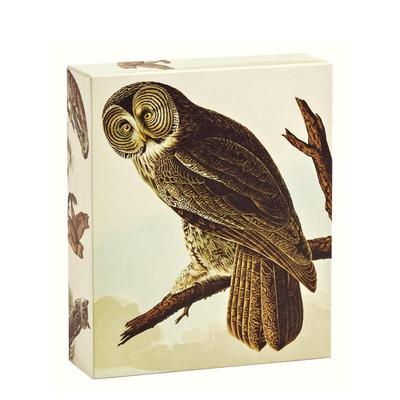 【预售】奥杜邦猫头鹰速记卡片册Audubon Owls QuickNotes英文文创卡牌John James Audubon卡片teNeues进口原版书9781623258894