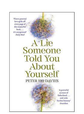 【现货】有人对你说的关于你自己的谎言A Lie Someone Told You about Yourself英文文学小说Peter Ho DaviesHoughton Mifflin Ha